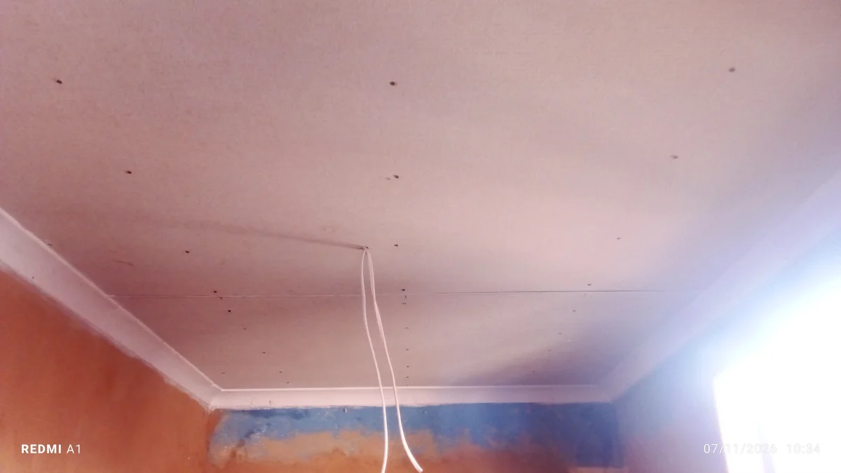 Ceiling and partition project 1