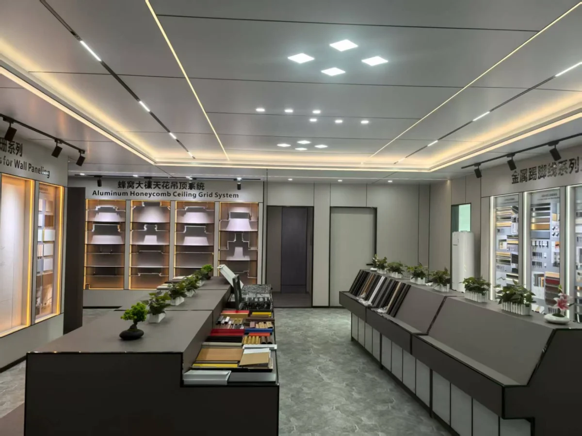 Carpentry and ceiling installation